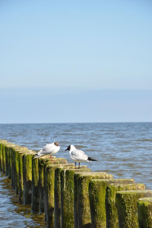Seetelhotel Nautic Usedom Hotel & Spa Koserow Exterior foto